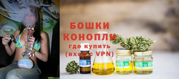 мдпв Волосово
