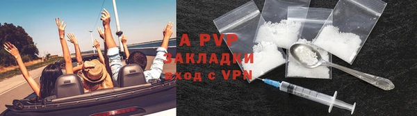 спиды Верея