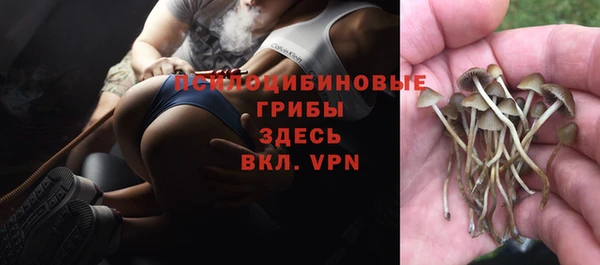 трава Волоколамск