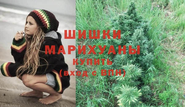 спиды Верея
