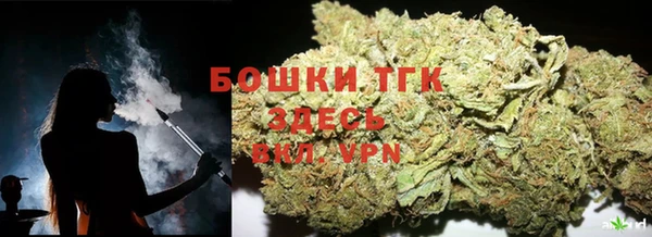 спиды Верея