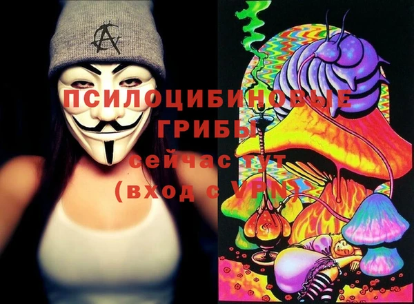герыч Верхний Тагил