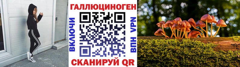Галлюциногенные грибы мицелий  Волгодонск 